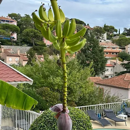 La Fiancee Du Pirate 3* Villefranche-sur-Mer